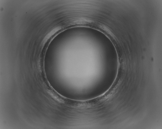 X0000074311026200608251230