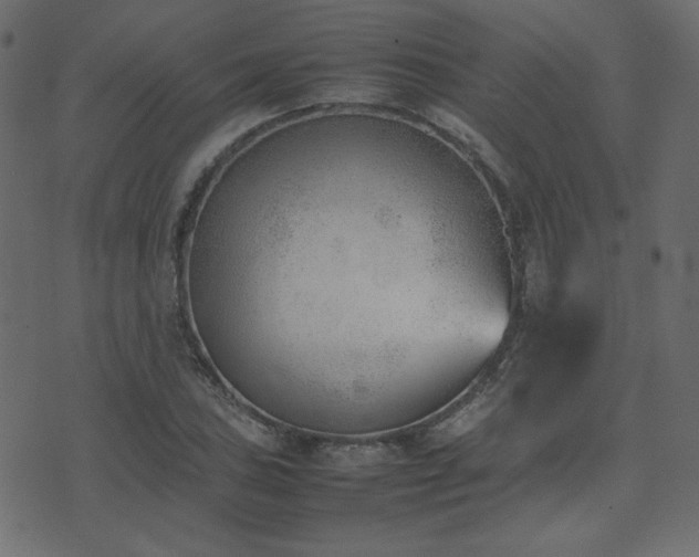 X0000074311027200608251230