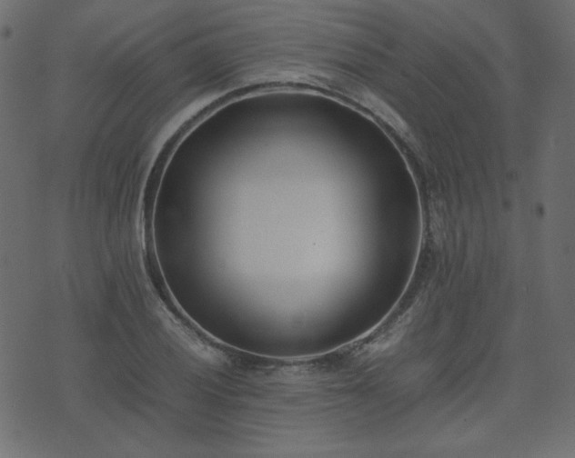 X0000074311028200608251230