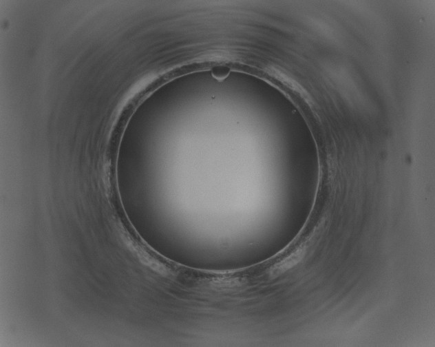 X0000074311029200608251230