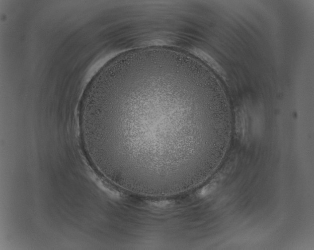 X0000074311031200608251230