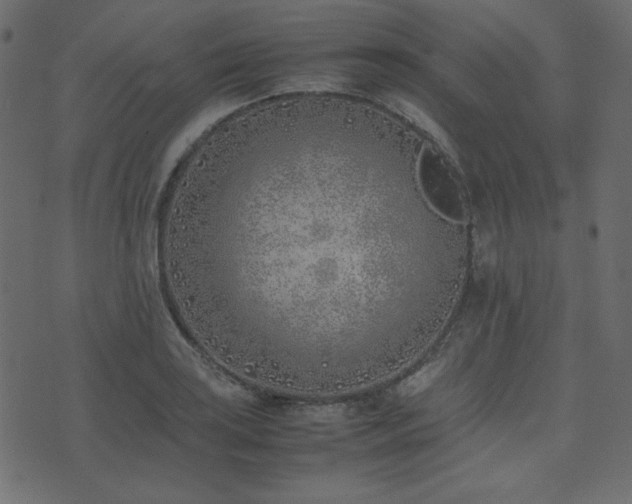 X0000074311035200608251230