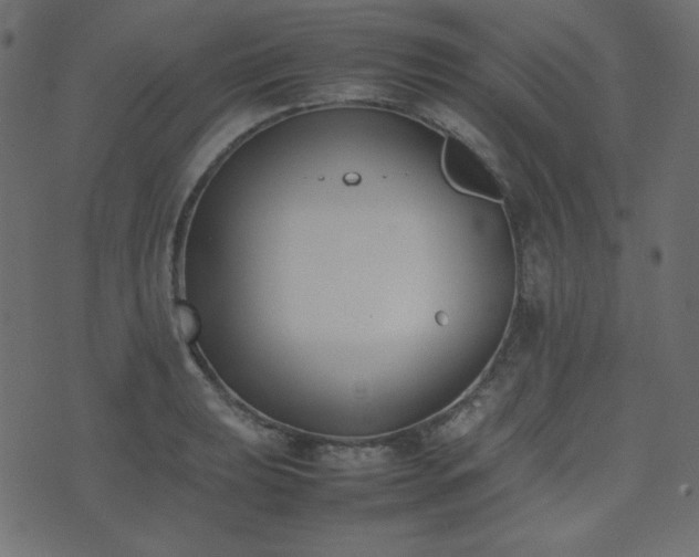 X0000074311039200608251230