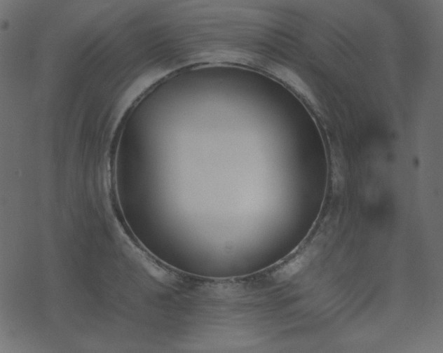 X0000074311040200608251230