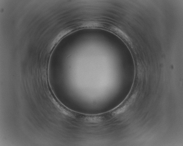 X0000074311041200608251230