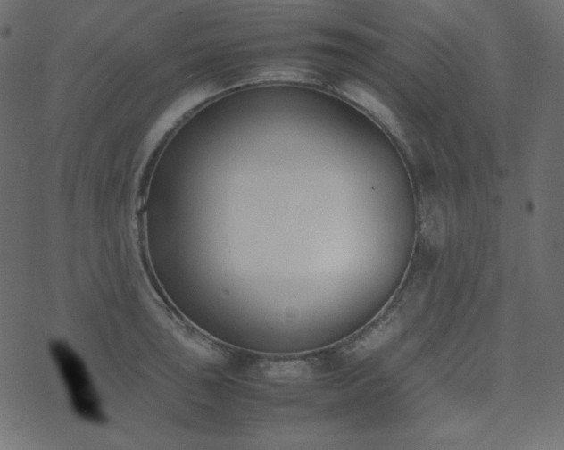 X0000074311043200608251230