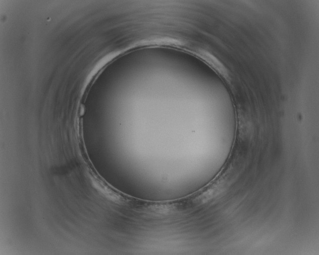 X0000074311044200608251230