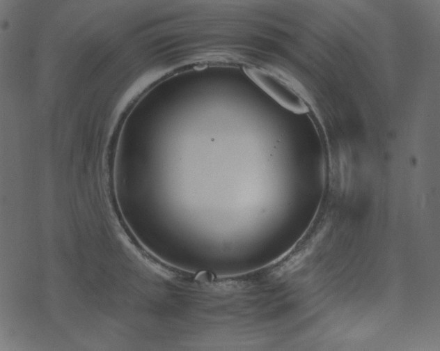 X0000074311045200608251231