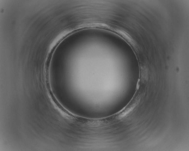 X0000074311046200608251231