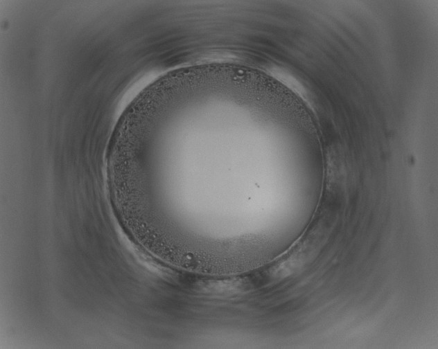 X0000074311047200608251231