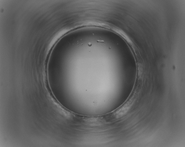 X0000074311048200608251231