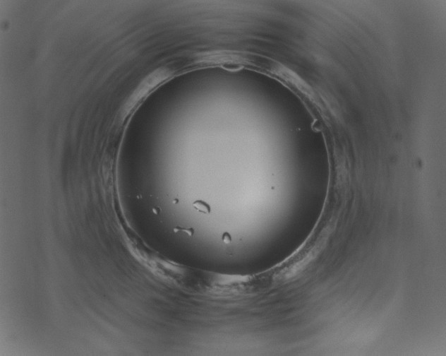 X0000074311049200608251231