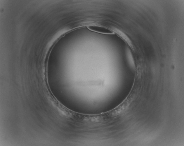 X0000074311051200608251231