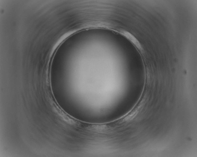 X0000074311052200608251231