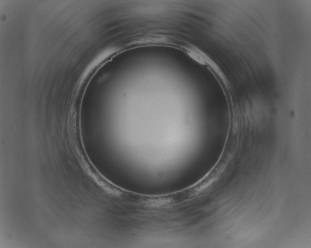 X0000074311053200608251231