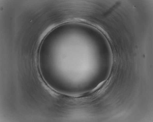 X0000074311054200608251231