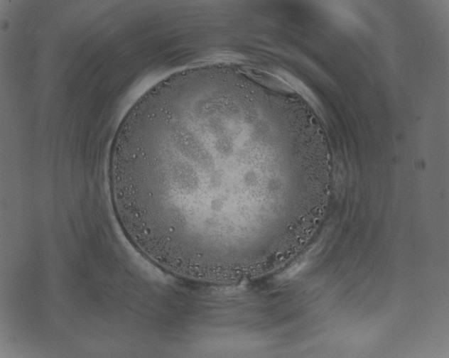 X0000074311055200608251231