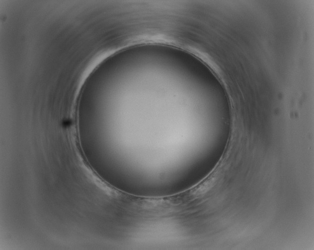 X0000074311056200608251231