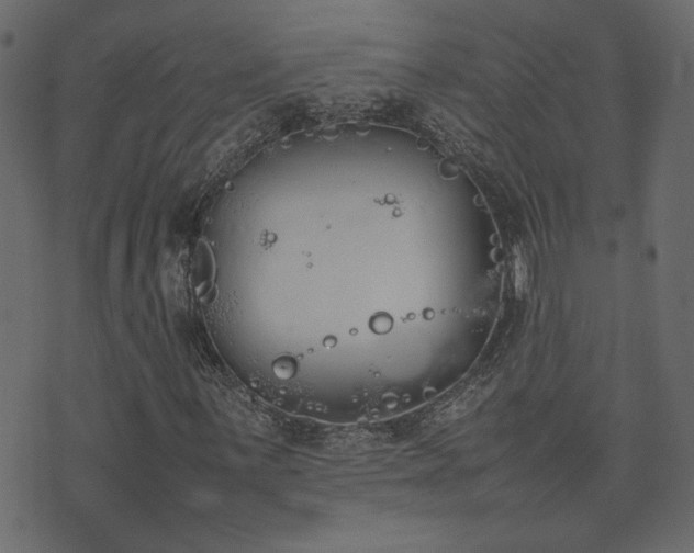 X0000074311059200608251230