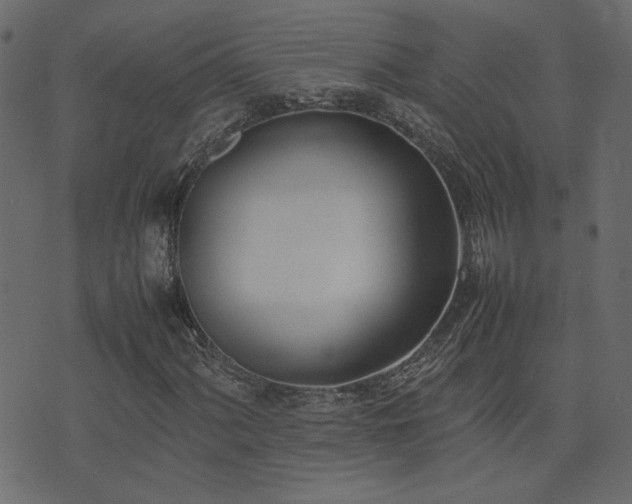 X0000074311060200608251230