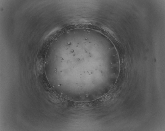 X0000074311063200608251230