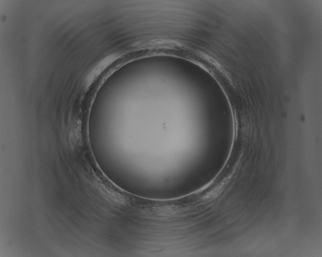 X0000074311066200608251230