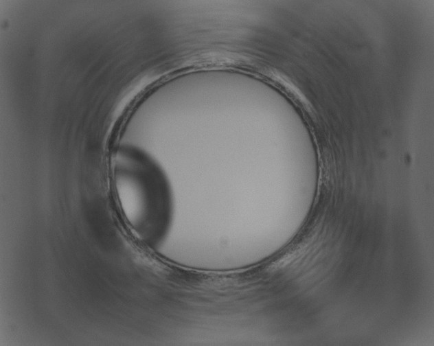 X0000074311075200608251230
