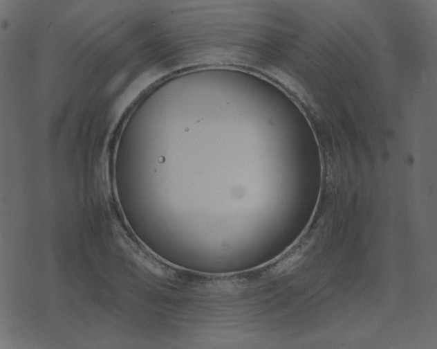 X0000074311078200608251230