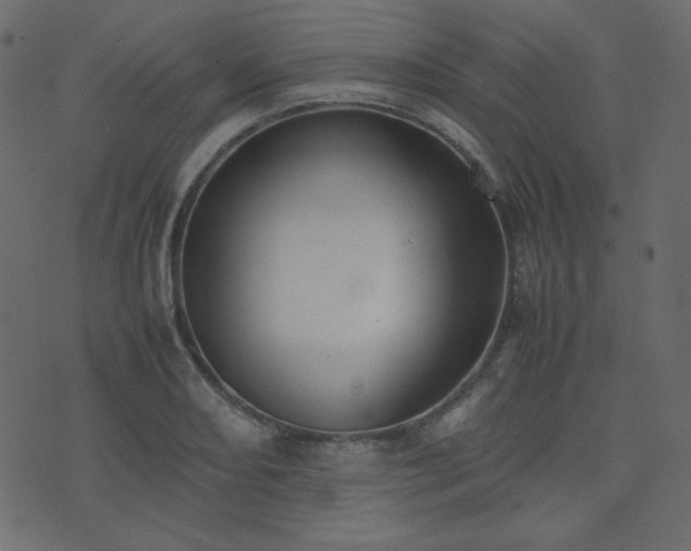 X0000074311082200608251230