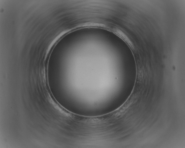 X0000074311092200608251229