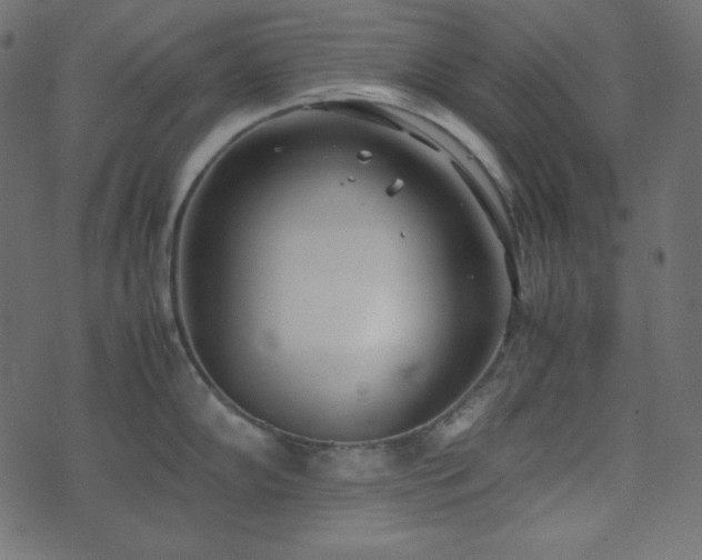 X0000074311102200608251229