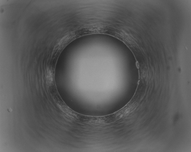 X0000074311106200608251228