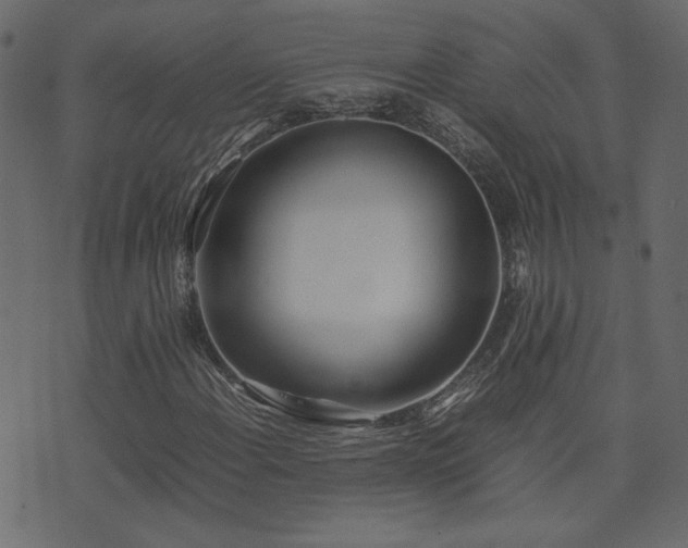 X0000074311108200608251228
