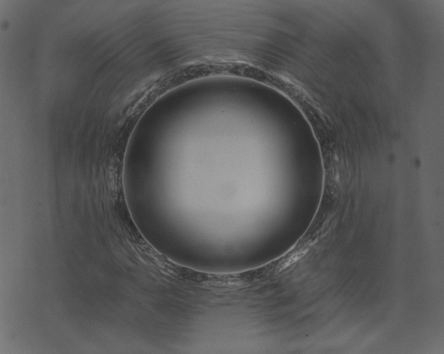 X0000074311110200608251228