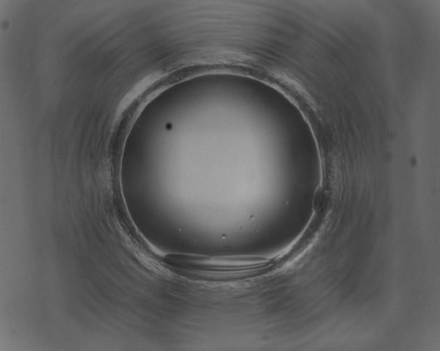 X0000074311114200608251229