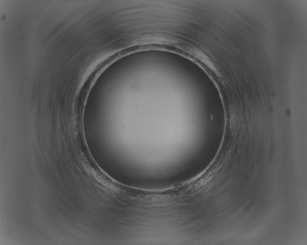 X0000074311116200608251229