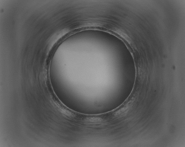 X0000074311119200608251229