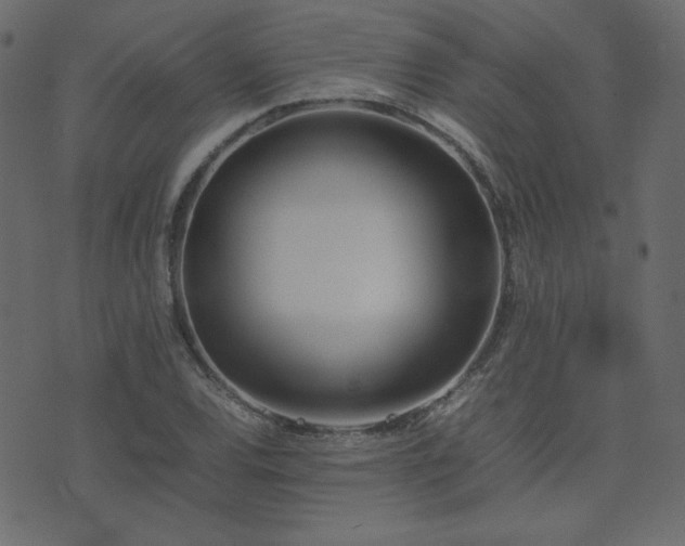 X0000074311120200608251229