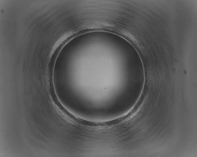 X0000074311122200608251229