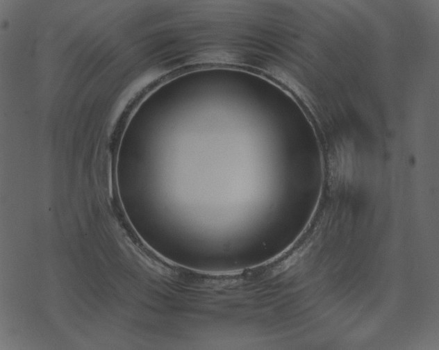X0000074311123200608251229