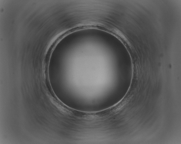 X0000074311124200608251229