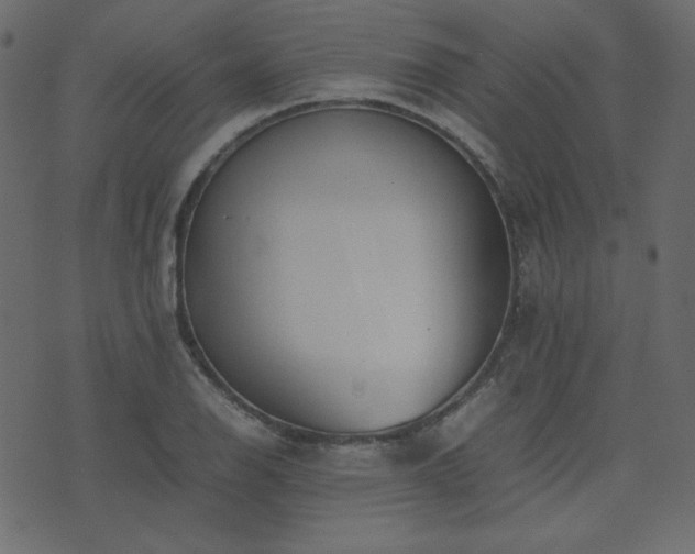 X0000074311126200608251229