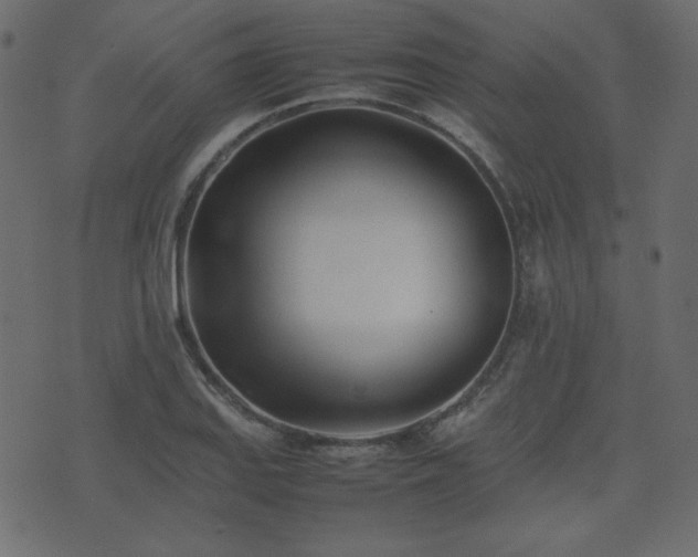 X0000074311127200608251229