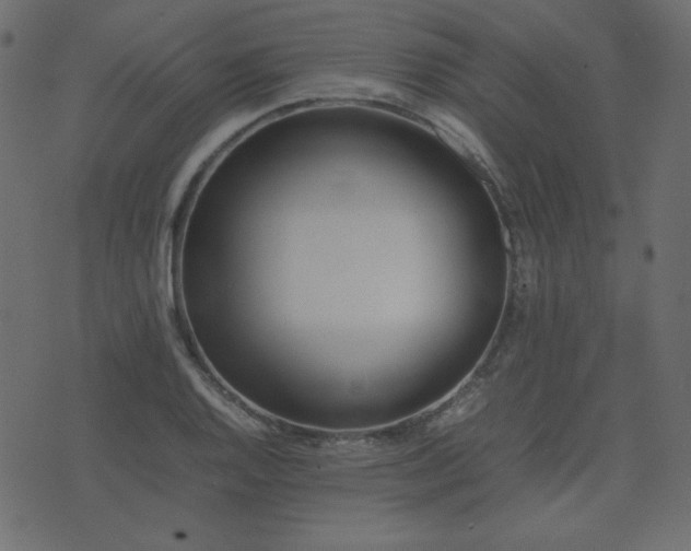 X0000074311128200608251229