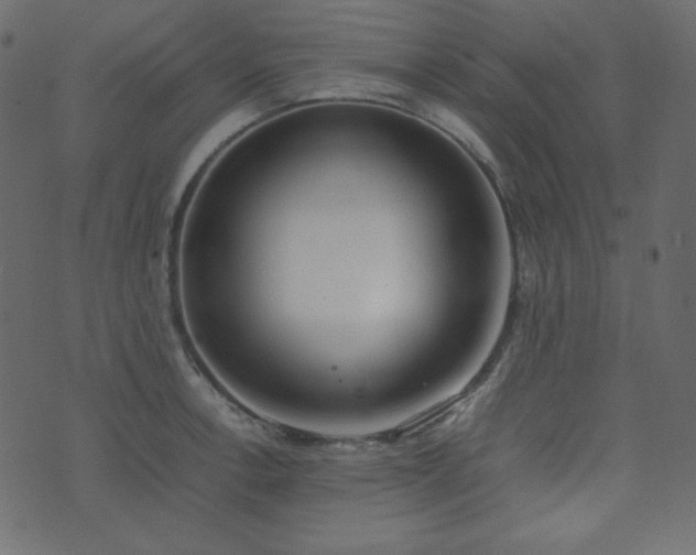 X0000074311138200608251229