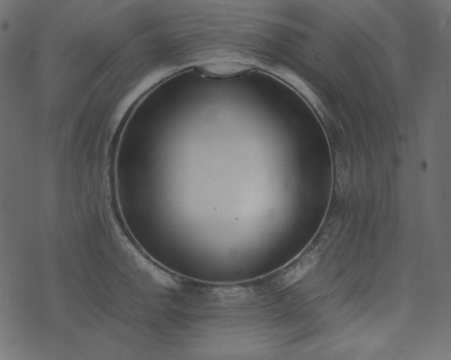 X0000074311142200608251229