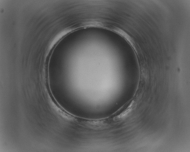 X0000074311147200608251229