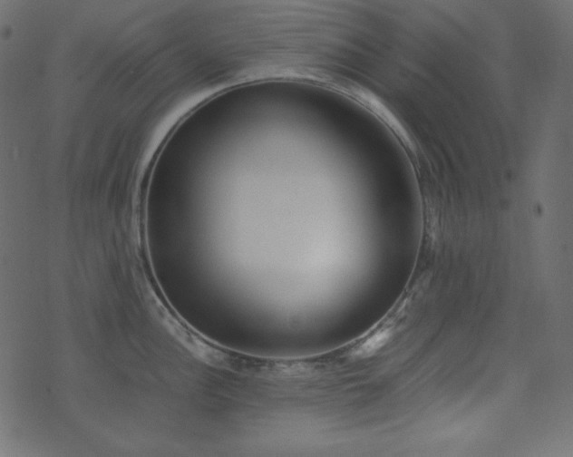 X0000074311148200608251229