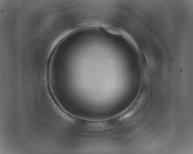 X0000074311149200608251229