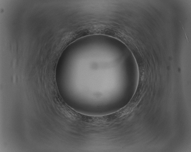 X0000074311153200608251228
